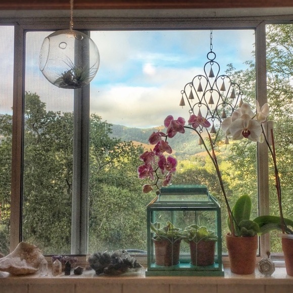 Meet your Posher, Daria. - Picture 6 of 6